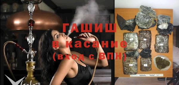 индика Заводоуковск