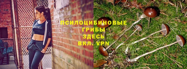 альфа пвп Заволжск